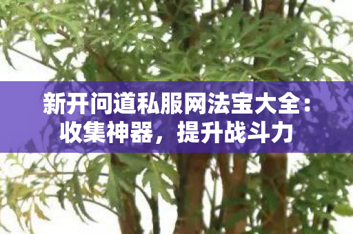 新开问道私服网法宝大全：收集神器，提升战斗力