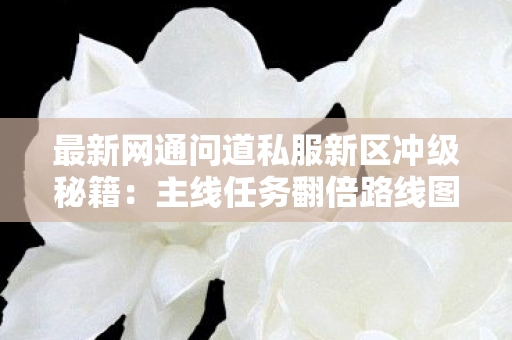最新网通问道私服新区冲级秘籍：主线任务翻倍路线图