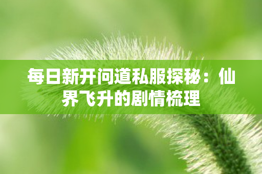 每日新开问道私服探秘：仙界飞升的剧情梳理