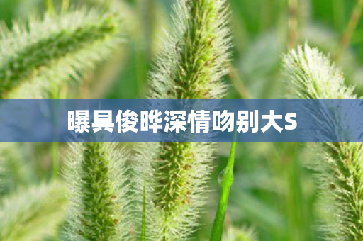 曝具俊晔深情吻别大S