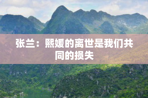 张兰：熙媛的离世是我们共同的损失