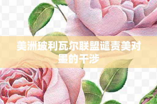 美洲玻利瓦尔联盟谴责美对墨的干涉