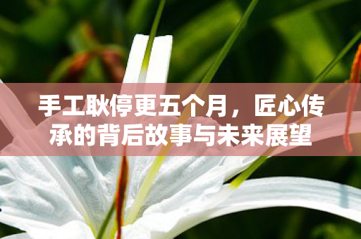 手工耿停更五个月，匠心传承的背后故事与未来展望