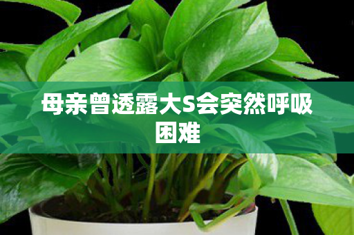 母亲曾透露大S会突然呼吸困难