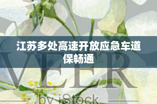 江苏多处高速开放应急车道保畅通