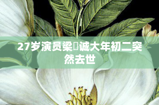 27岁演员梁祐诚大年初二突然去世