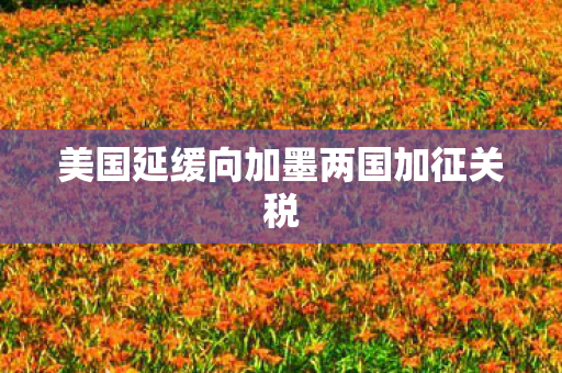 美国延缓向加墨两国加征关税