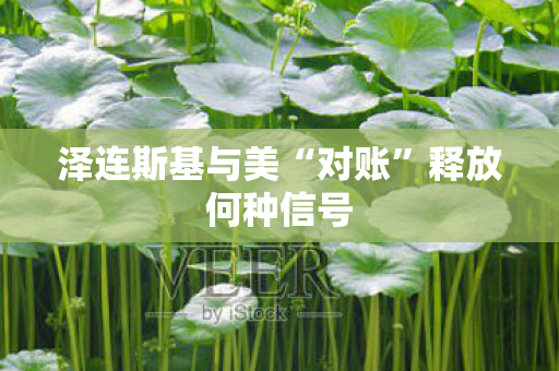 泽连斯基与美“对账”释放何种信号