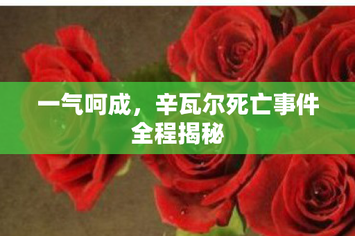一气呵成，辛瓦尔死亡事件全程揭秘