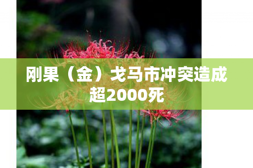 刚果（金）戈马市冲突造成超2000死