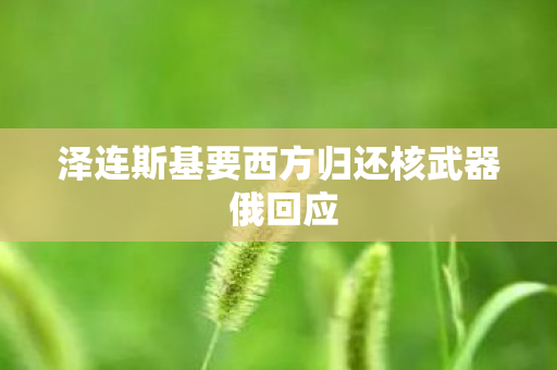 泽连斯基要西方归还核武器 俄回应