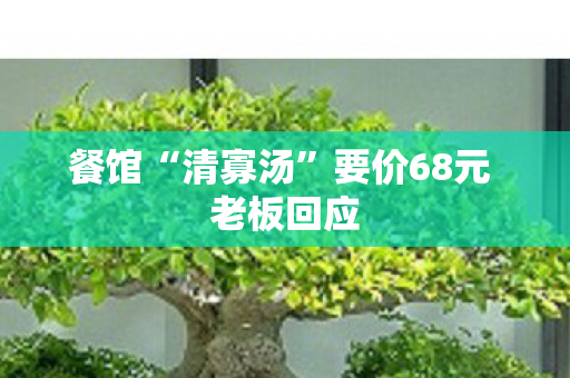 餐馆“清寡汤”要价68元 老板回应