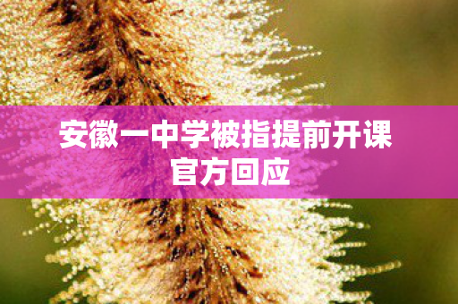 安徽一中学被指提前开课 官方回应