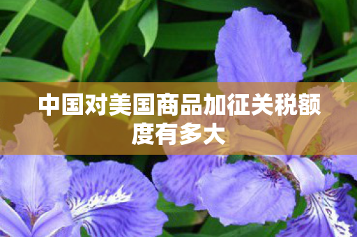 中国对美国商品加征关税额度有多大