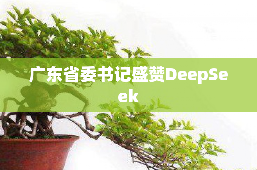 广东省委书记盛赞DeepSeek