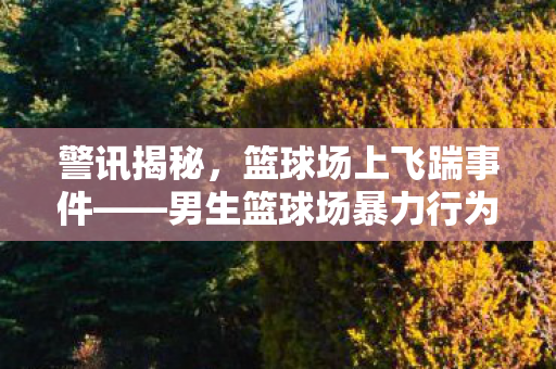 警讯揭秘，篮球场上飞踹事件——男生篮球场暴力行为深度剖析