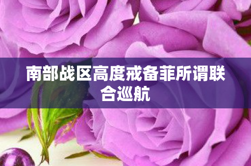 南部战区高度戒备菲所谓联合巡航