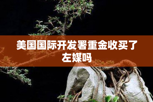美国国际开发署重金收买了左媒吗