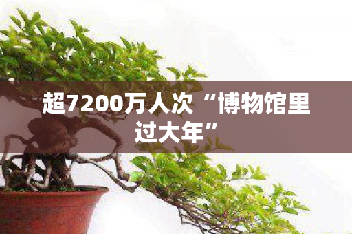 超7200万人次“博物馆里过大年”
