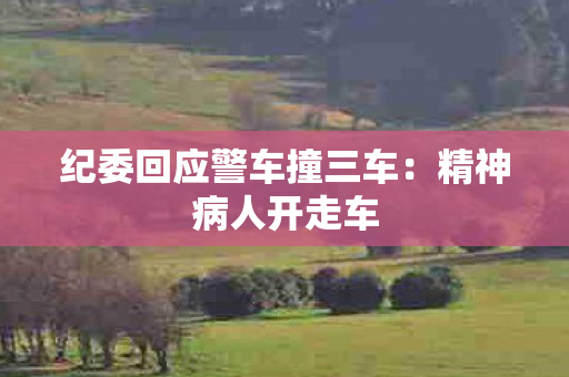 纪委回应警车撞三车：精神病人开走车
