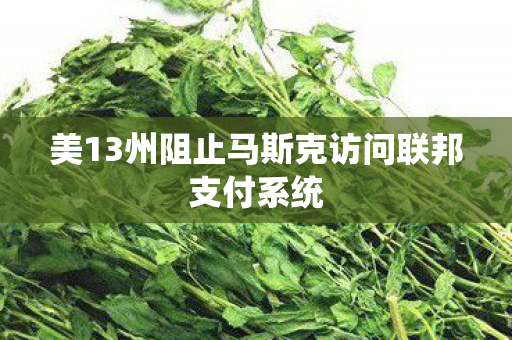美13州阻止马斯克访问联邦支付系统