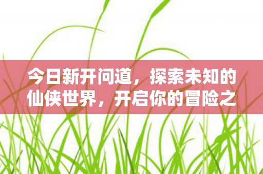 今日新开问道，探索未知的仙侠世界，开启你的冒险之旅