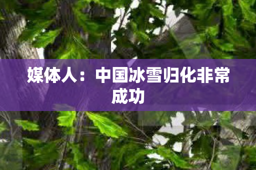 媒体人：中国冰雪归化非常成功