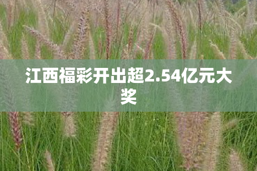 江西福彩开出超2.54亿元大奖