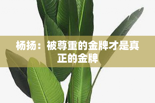 杨扬：被尊重的金牌才是真正的金牌
