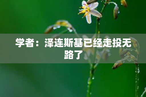学者：泽连斯基已经走投无路了