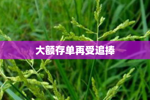 大额存单再受追捧