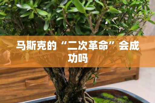 马斯克的“二次革命”会成功吗