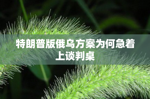 特朗普版俄乌方案为何急着上谈判桌