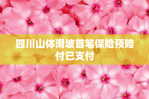 四川山体滑坡首笔保险预赔付已支付
