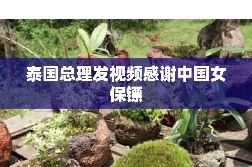 泰国总理发视频感谢中国女保镖