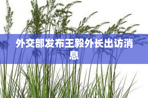 外交部发布王毅外长出访消息