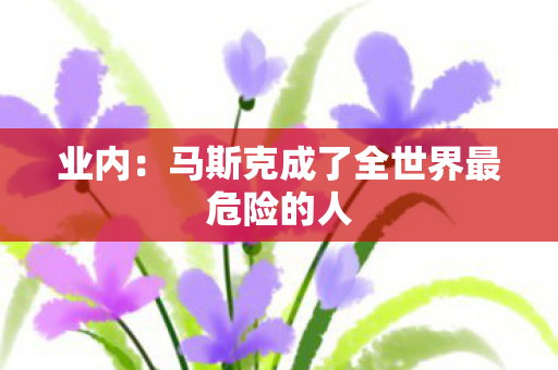 业内：马斯克成了全世界最危险的人