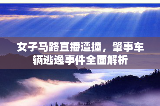 女子马路直播遭撞，肇事车辆逃逸事件全面解析
