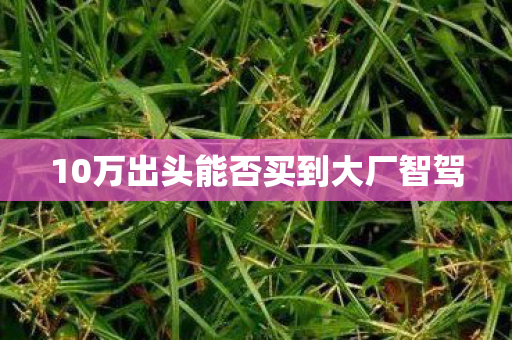 10万出头能否买到大厂智驾