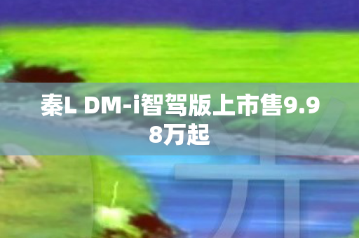 秦L DM-i智驾版上市售9.98万起