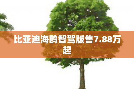 比亚迪海鸥智驾版售7.88万起
