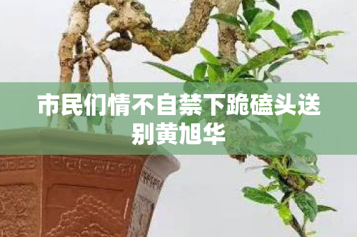 市民们情不自禁下跪磕头送别黄旭华