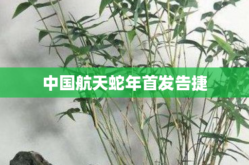 中国航天蛇年首发告捷
