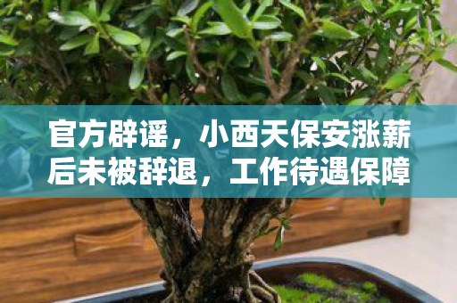 官方辟谣，小西天保安涨薪后未被辞退，工作待遇保障有力