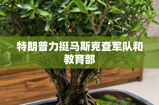 特朗普力挺马斯克查军队和教育部