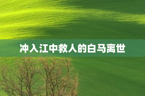 冲入江中救人的白马离世