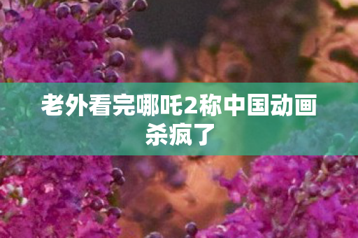 老外看完哪吒2称中国动画杀疯了