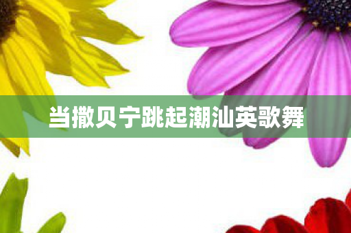 当撒贝宁跳起潮汕英歌舞