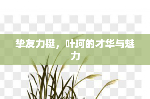 挚友力挺，叶珂的才华与魅力