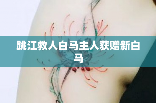 跳江救人白马主人获赠新白马